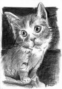 chat01
